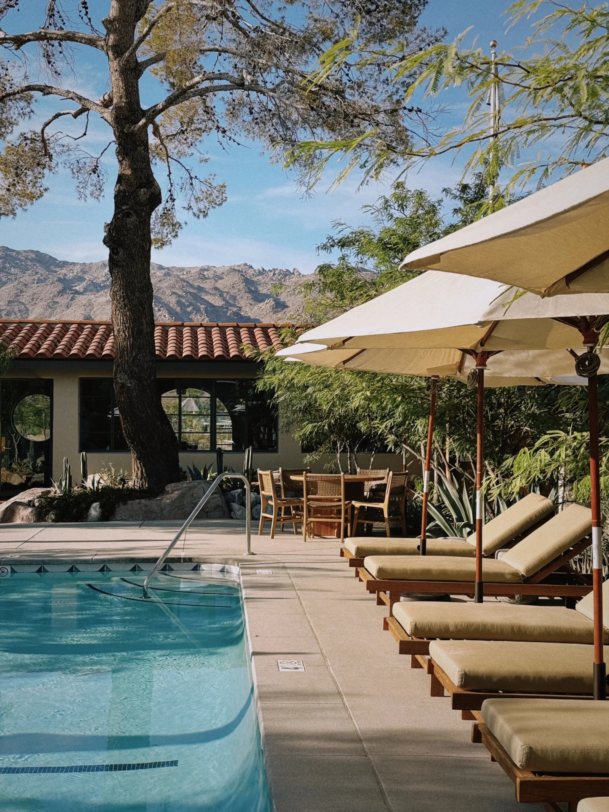 HotelWren-Hotel-TwentyNinePalms-Pool-Opulist2.JPG