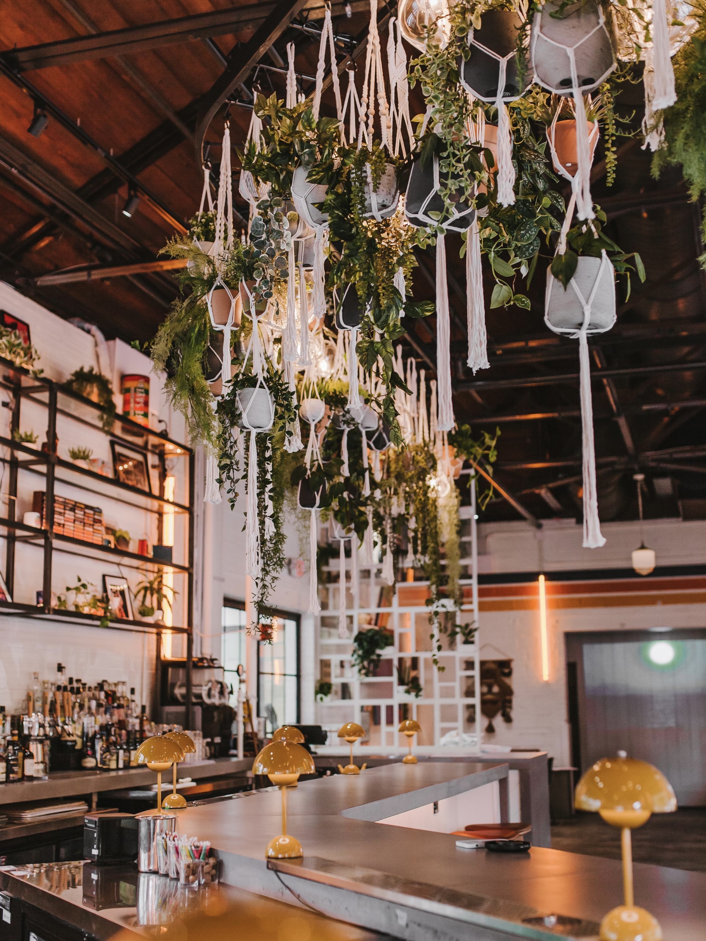 Muchacho in Atlanta, Georgia