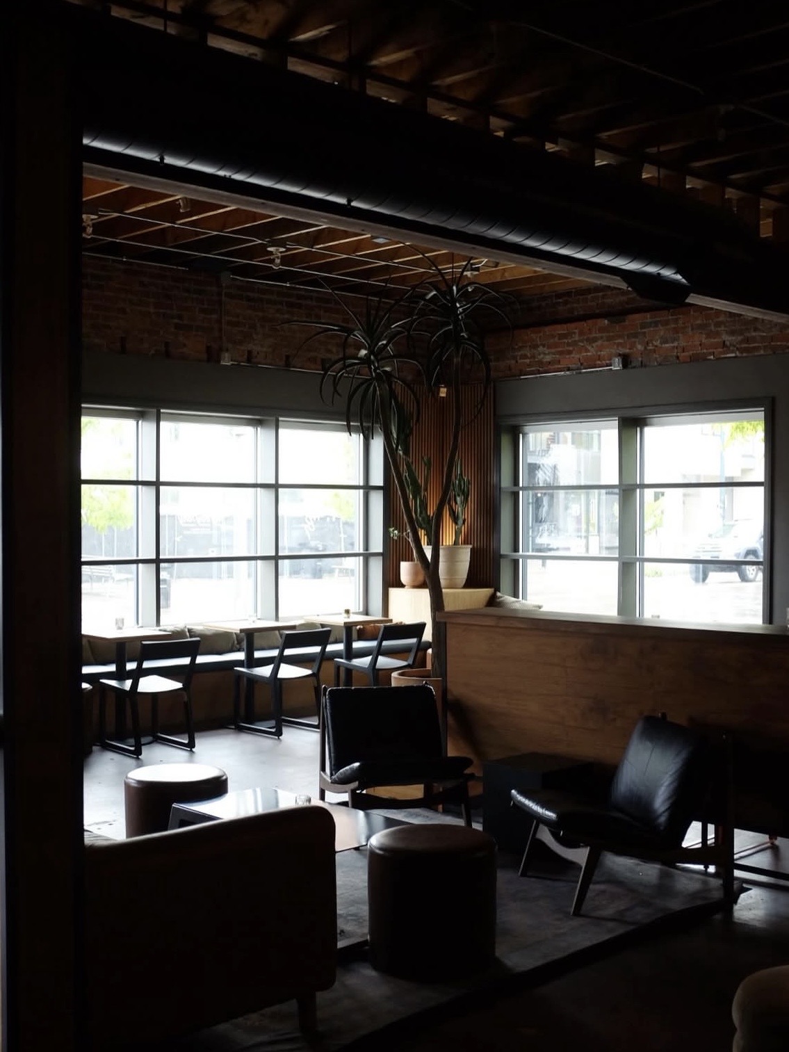 My Boy Tony in Denver, Colorado — photo 4